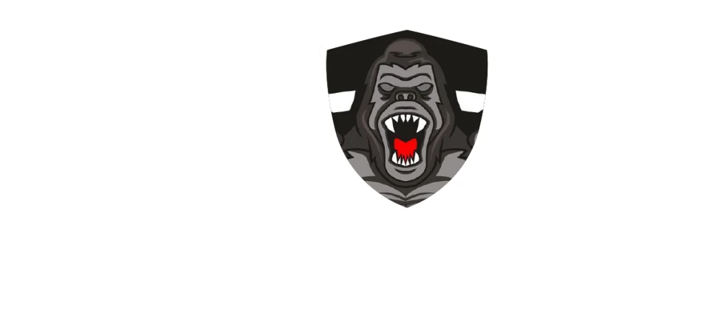 Rap Motors